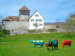 Разноцветные коровы